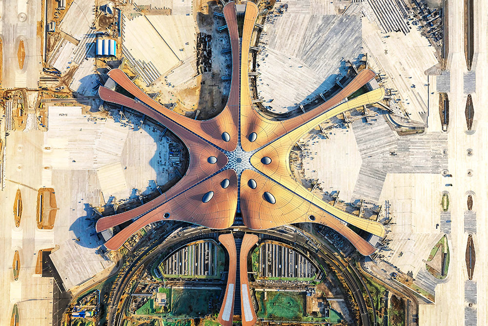 888�ڲ���-����Ϊ��,רҵ����