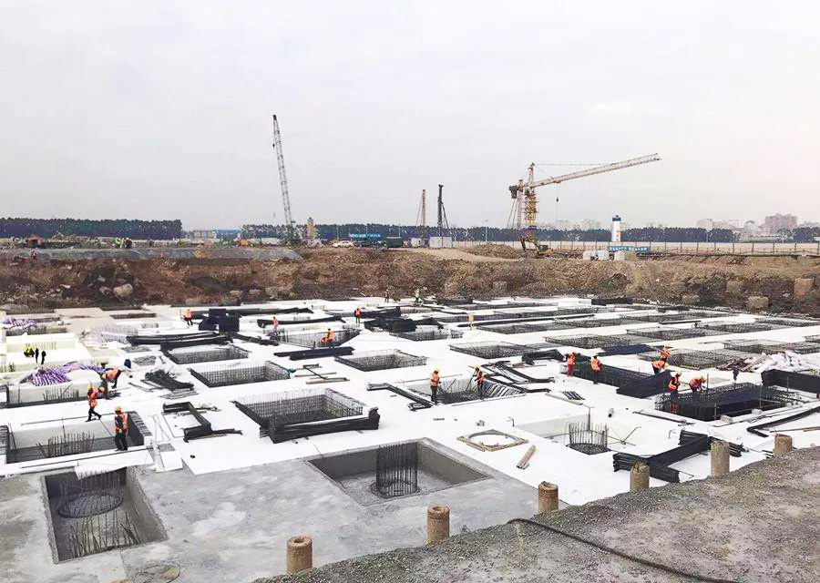 888�ڲ���-����Ϊ��,רҵ����