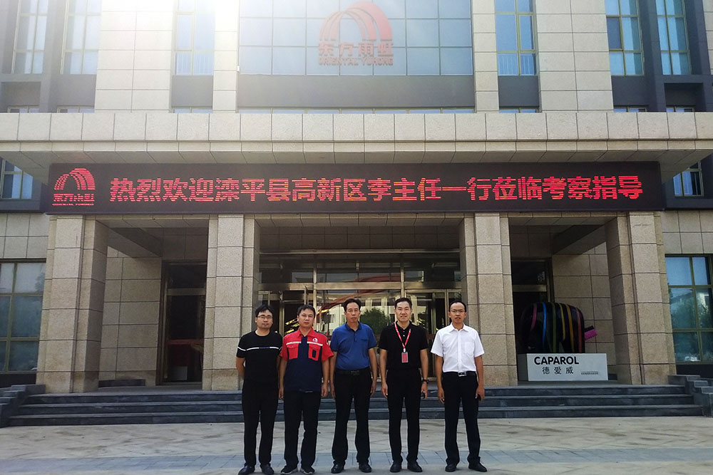 888�ڲ���-����Ϊ��,רҵ����