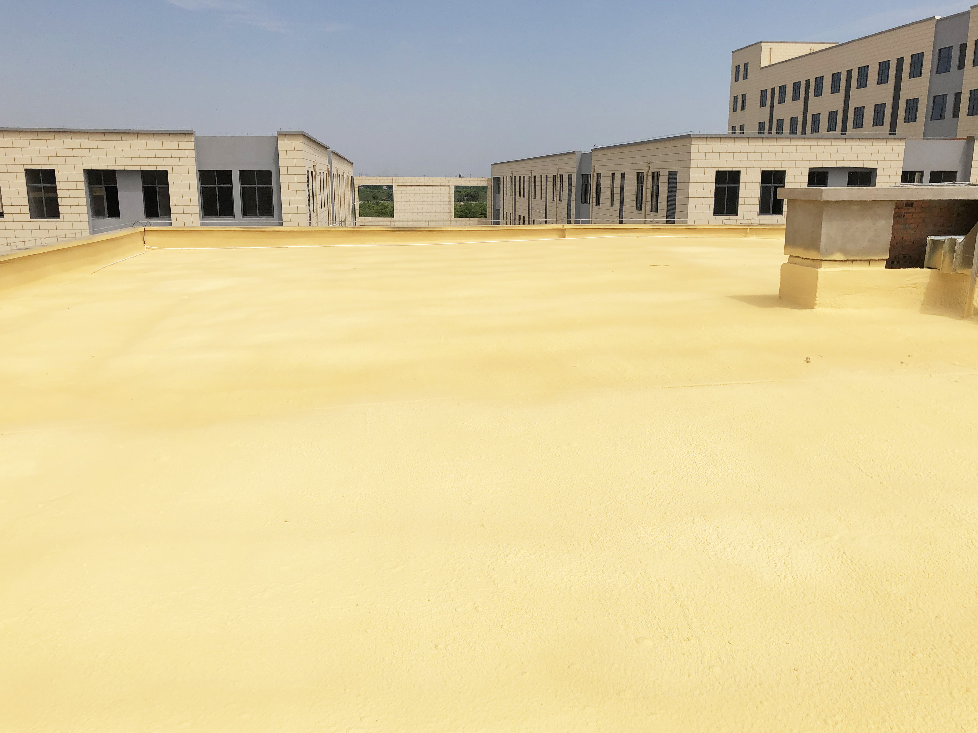 888�ڲ���-����Ϊ��,רҵ����