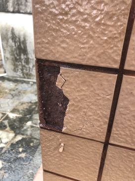 888�ڲ���-����Ϊ��,רҵ����