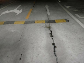 888�ڲ���-����Ϊ��,רҵ����