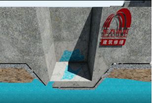 888�ڲ���-����Ϊ��,רҵ����