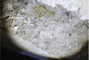 888�ڲ���-����Ϊ��,רҵ����