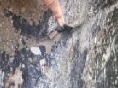 888�ڲ���-����Ϊ��,רҵ����