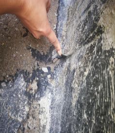 888�ڲ���-����Ϊ��,רҵ����