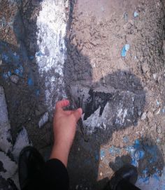 888�ڲ���-����Ϊ��,רҵ����