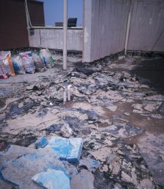 888�ڲ���-����Ϊ��,רҵ����