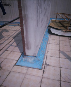 888�ڲ���-����Ϊ��,רҵ����