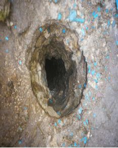 888�ڲ���-����Ϊ��,רҵ����