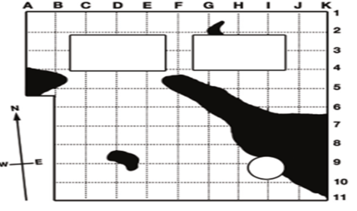 888�ڲ���-����Ϊ��,רҵ����