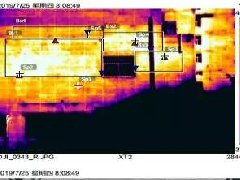 888�ڲ���-����Ϊ��,רҵ����