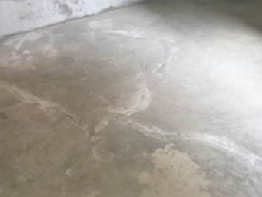 888�ڲ���-����Ϊ��,רҵ����