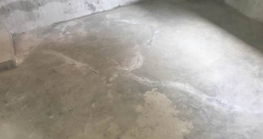 888�ڲ���-����Ϊ��,רҵ����