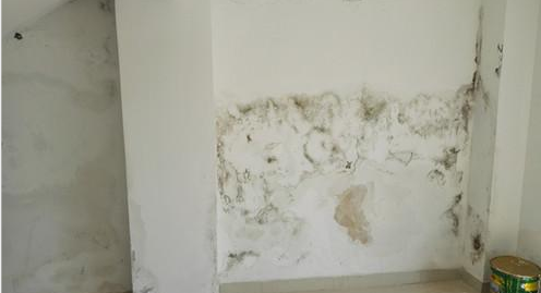 888�ڲ���-����Ϊ��,רҵ����