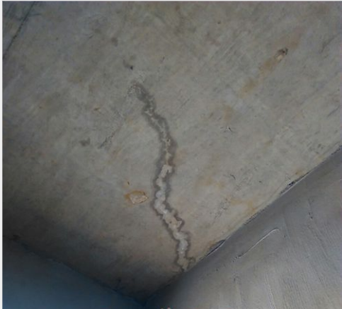 888�ڲ���-����Ϊ��,רҵ����