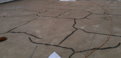 888�ڲ���-����Ϊ��,רҵ����