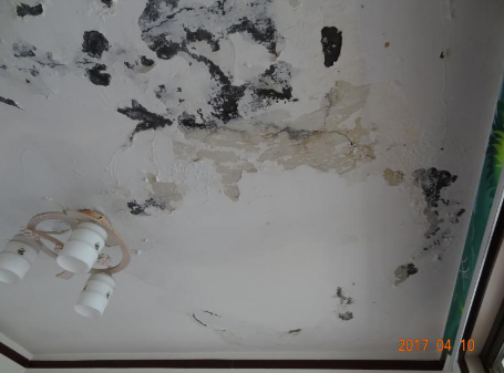 888�ڲ���-����Ϊ��,רҵ����