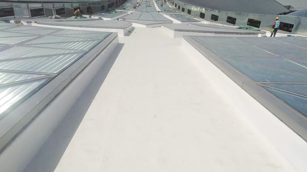 888�ڲ���-����Ϊ��,רҵ����