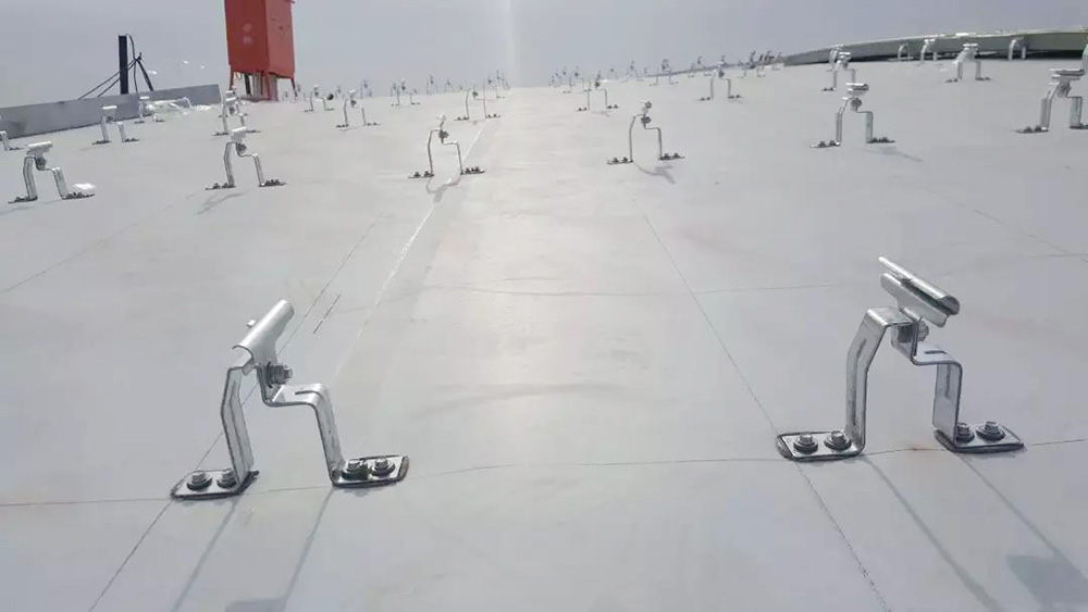 888�ڲ���-����Ϊ��,רҵ����