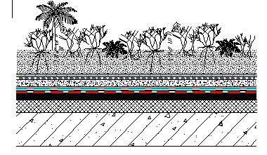 888�ڲ���-����Ϊ��,רҵ����