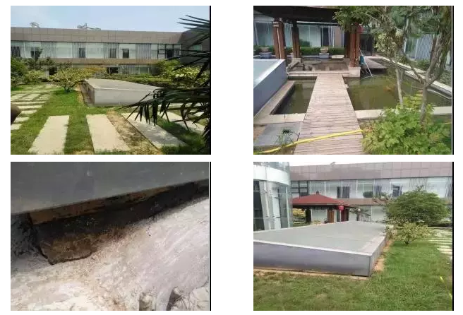 888�ڲ���-����Ϊ��,רҵ����