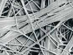 888�ڲ���-����Ϊ��,רҵ����