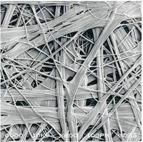 888ÌÚ²©»á-³ÏÐÅΪ±¾,רҵ·þÎñ