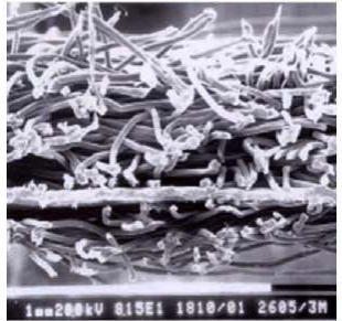 888ÌÚ²©»á-³ÏÐÅΪ±¾,רҵ·þÎñ