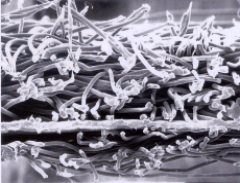 888ÌÚ²©»á-³ÏÐÅΪ±¾,רҵ·þÎñ