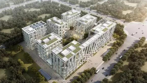 888�ڲ���-����Ϊ��,רҵ����