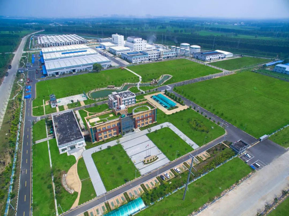 888�ڲ���-����Ϊ��,רҵ����