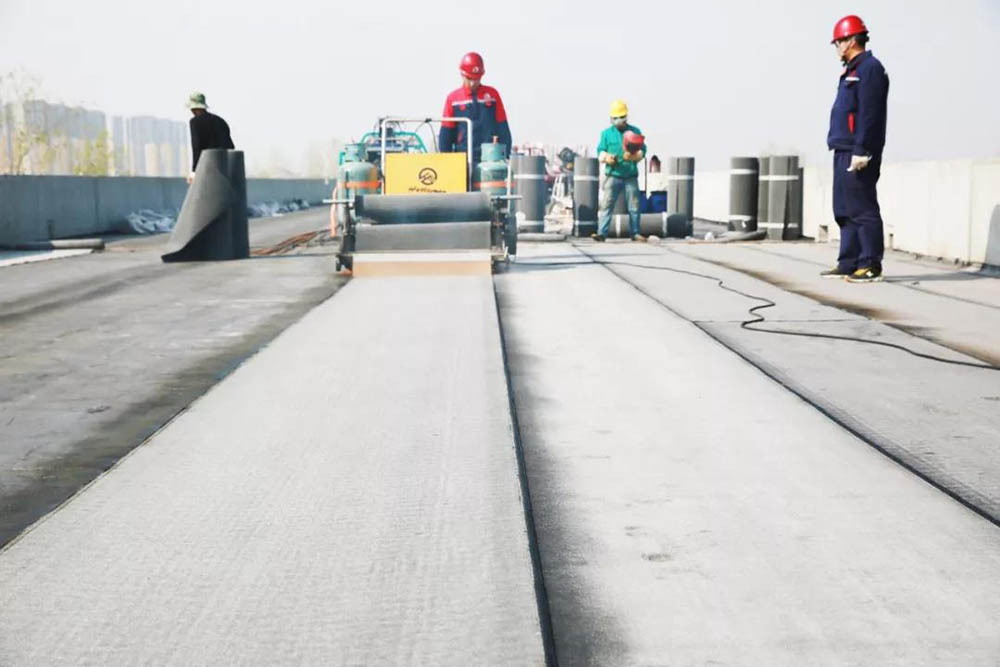 888�ڲ���-����Ϊ��,רҵ����