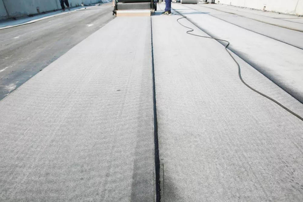 888�ڲ���-����Ϊ��,רҵ����