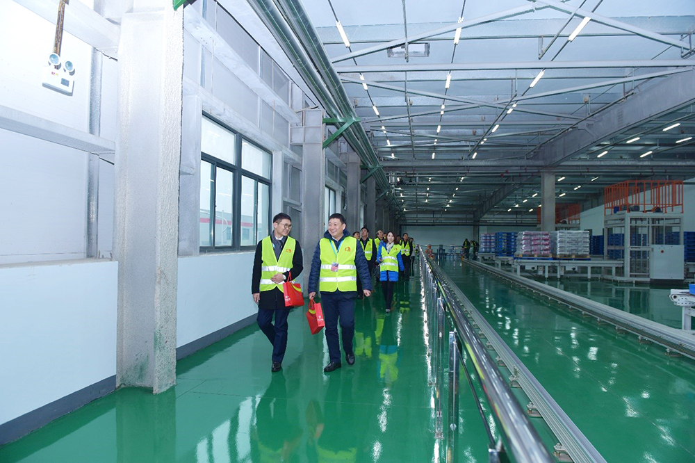 888�ڲ���-����Ϊ��,רҵ����