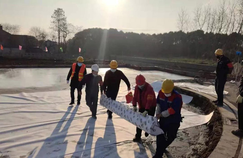 888�ڲ���-����Ϊ��,רҵ����