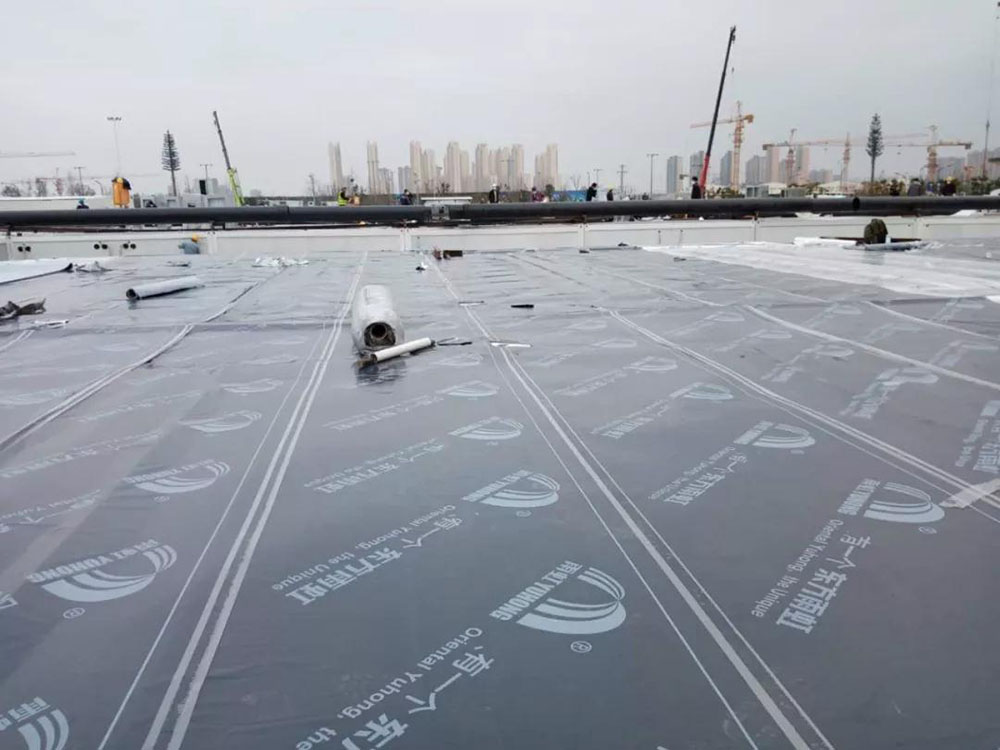 888�ڲ���-����Ϊ��,רҵ����