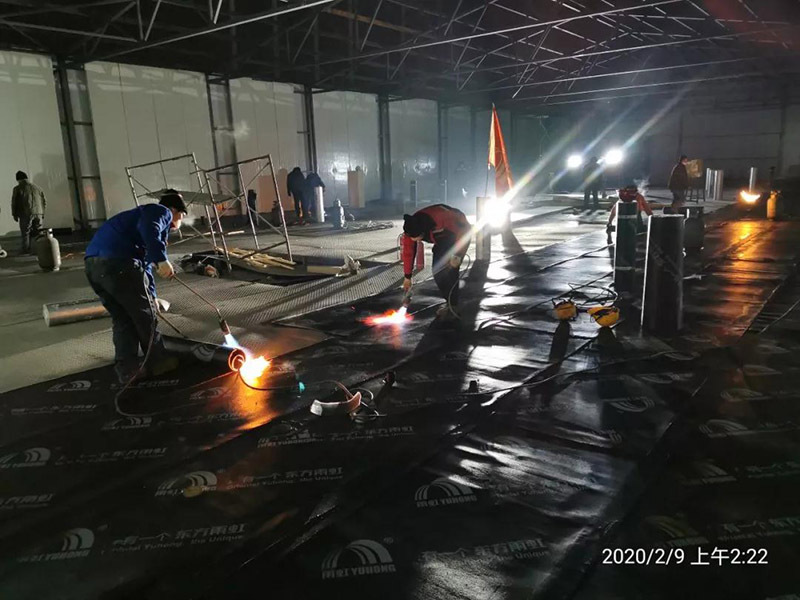 888�ڲ���-����Ϊ��,רҵ����