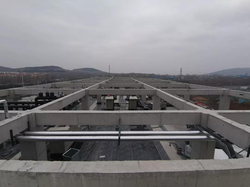 888�ڲ���-����Ϊ��,רҵ����