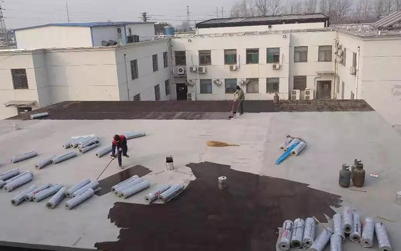 888�ڲ���-����Ϊ��,רҵ����