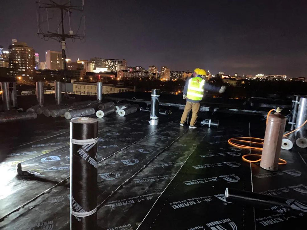 888�ڲ���-����Ϊ��,רҵ����