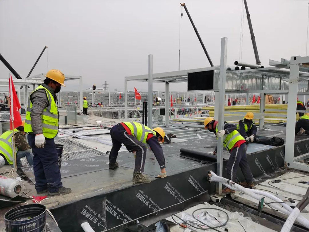 888�ڲ���-����Ϊ��,רҵ����