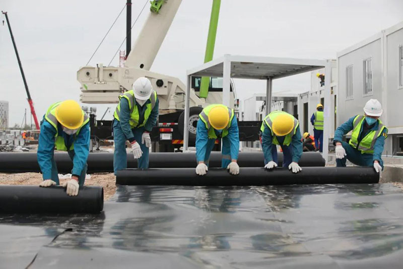 888�ڲ���-����Ϊ��,רҵ����