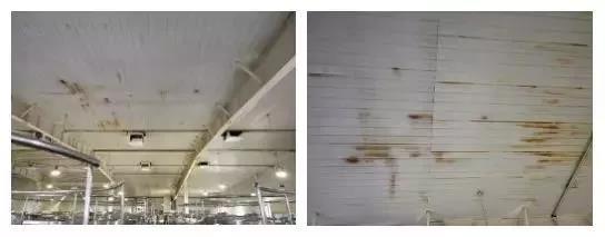 888�ڲ���-����Ϊ��,רҵ����