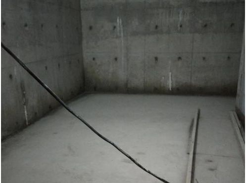 888�ڲ���-����Ϊ��,רҵ����