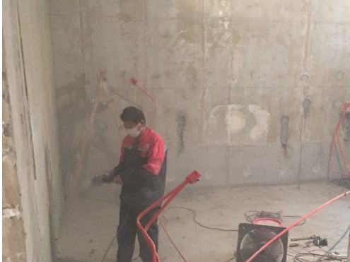 888�ڲ���-����Ϊ��,רҵ����