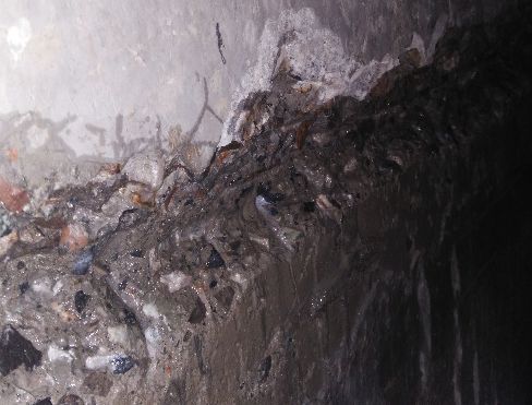 888�ڲ���-����Ϊ��,רҵ����