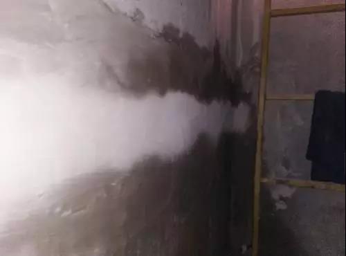 888�ڲ���-����Ϊ��,רҵ����