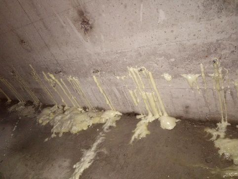 888�ڲ���-����Ϊ��,רҵ����