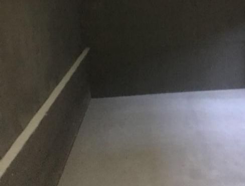 888�ڲ���-����Ϊ��,רҵ����